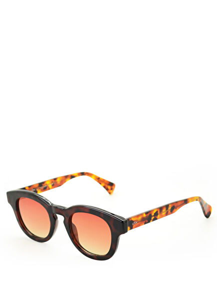 Pinus Chocolate Unisex Güneş Gözlüğü