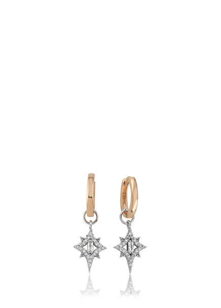 Polaris 14K Gold Women's Earrings