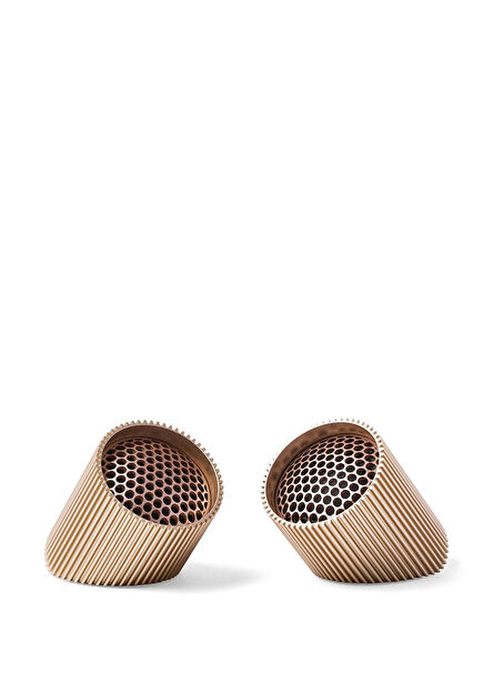 Ray Altın Rengi Bluetooth Hoparlör