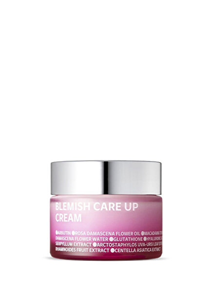 Blemish Care Up Cream Leke Karşıtı Nemlendirici Yüz Kremi 55 ml