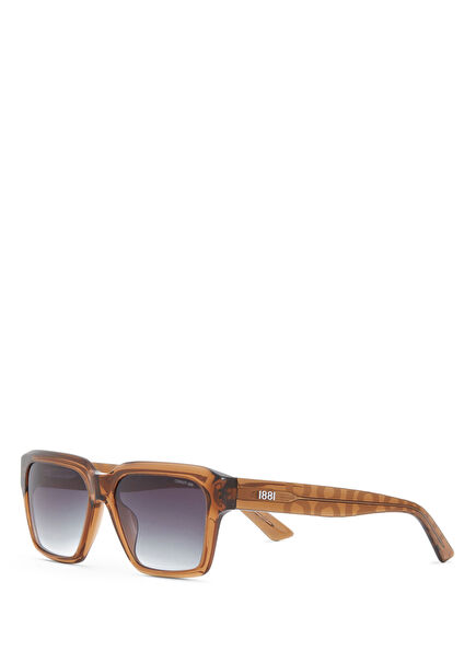 CR 80063 C4 Açık Kahverengi Asetat Erkek Güneş Gözlüğü