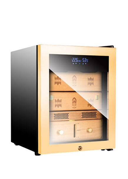 Siyah Gold Kabinet Elektronik Puro Dolabı RA-999