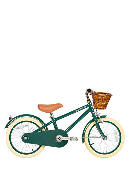 Classic Vintage Green Child Bike
