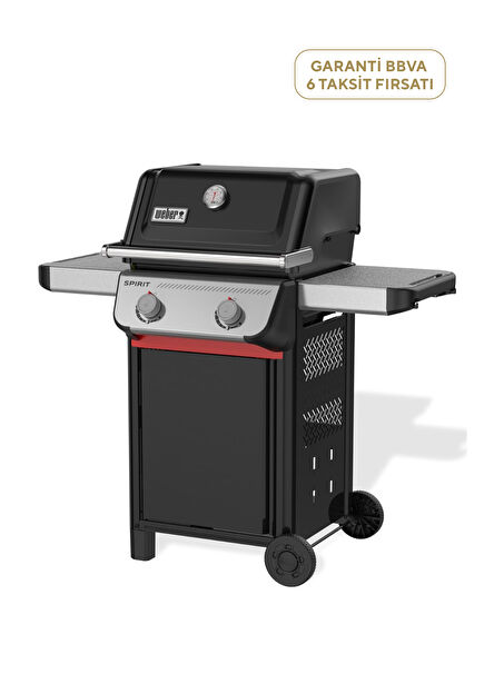 Spirit® 2025 E-210 Gas BBQ and Barbecue