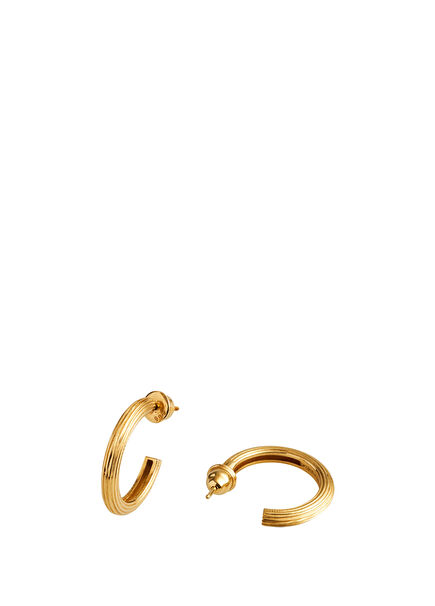 #1 Basic Women's Gold Earrings