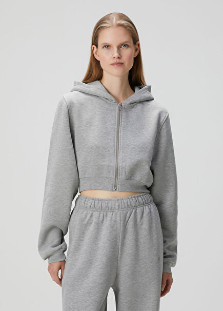 Aura Grey Zipper Crop Hoodie