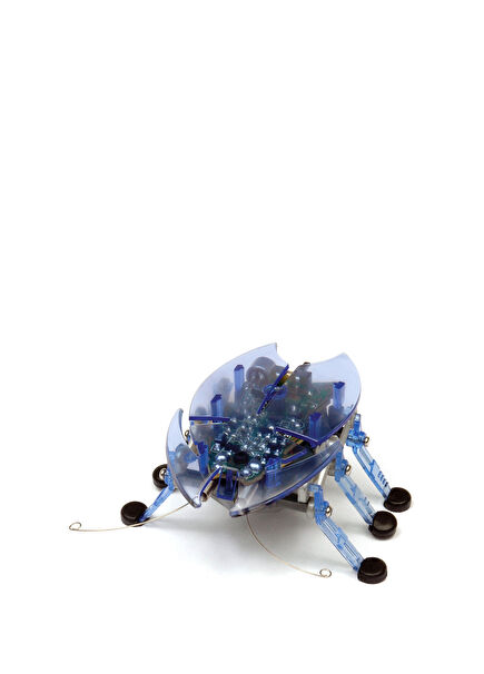 Robot Blue Toy Bug