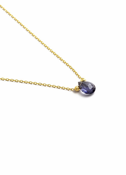 Ametist Şubat Doğum Taşı 925 Ayar Gümüş Üzeri 18 Ayar Altın Kaplama Kadın Kolye