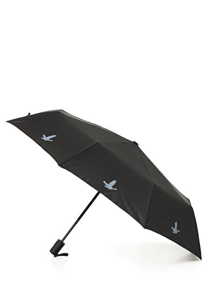 Black Umbrella