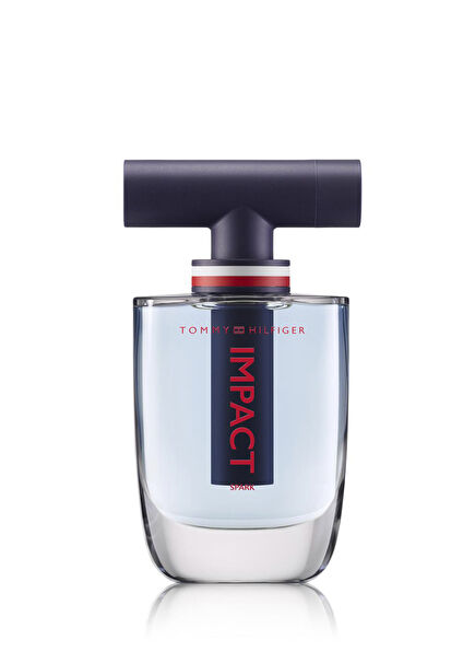Impact Spark EDT 100 ml Men's Perfume