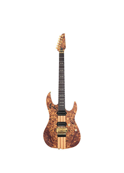 Larry Carlton X10 NTS Electric Guitar