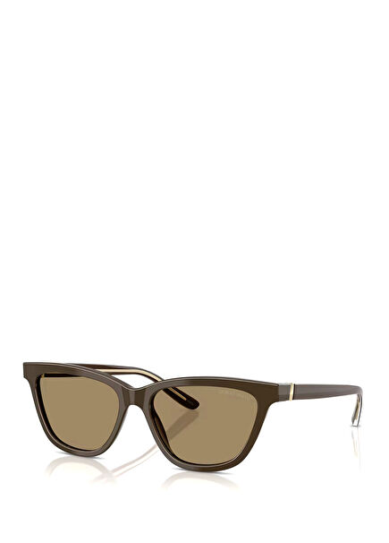 Brown Womens Sunglasses