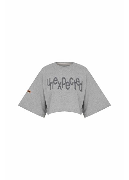 Mımma Oversize Gri Krom Crop T-shirt