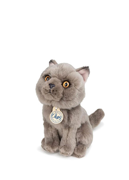 Bon Ton Toys Freddy The British Shorthair Kutulu Peluş Oyuncak 17 cm