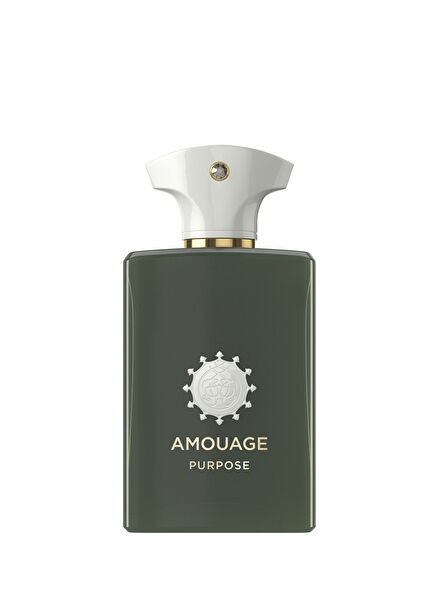 Purpose EDP 100 ml Kadın Parfüm