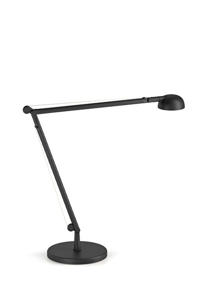 Opuntia Siyah Masa Lambası