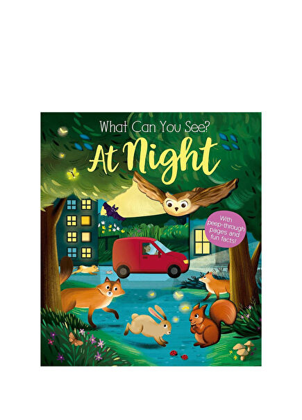 What Can You See At Night? Children's Foreign Language Book