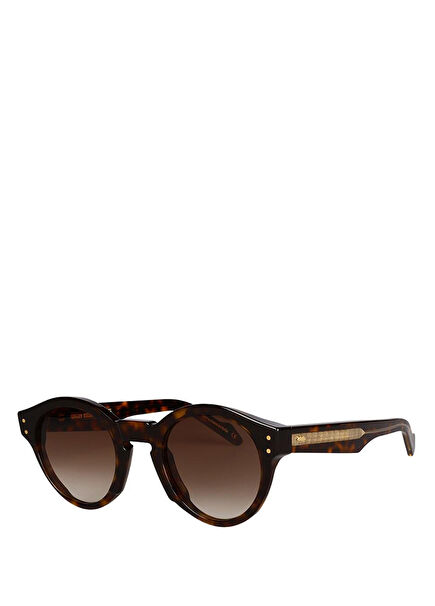 Monolith 04 Col 03 Brown Acetate Unisex Sunglasses