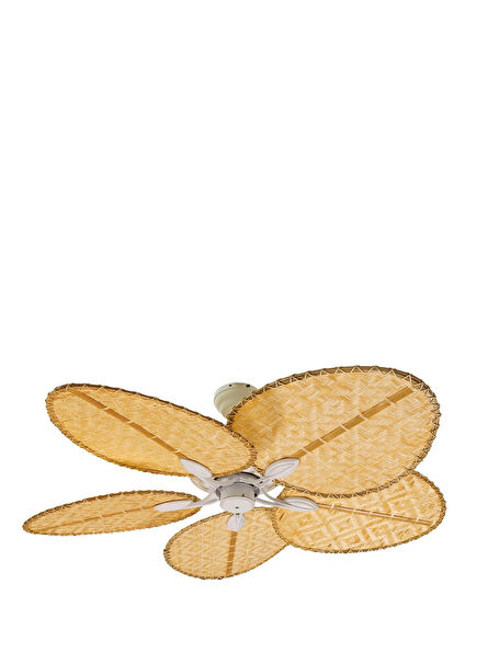 Robin Rattan Ceiling Fan