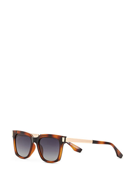 DS 2373 C4 Havana Altın Rengi Asetat Metal Unisex Güneş Gözlüğü
