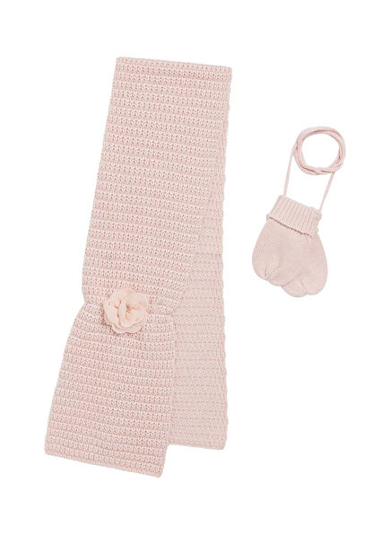 Baby Girl Scarf & Gloves with Powder Flower Appliqué Set of 2