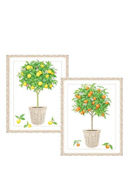 Citrus Topiaries Set of 10 Notes Paper and Envelopes