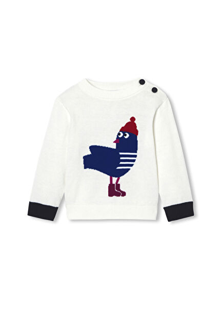 Intarsia Martı Örgü Erkek Bebek Kazak