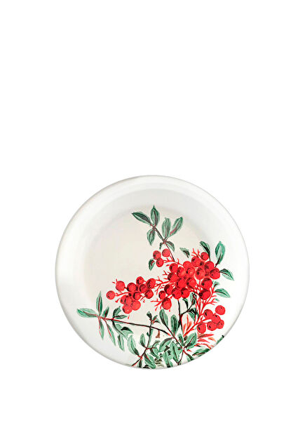 Red Berry Collection Porcelain Dessert Plate 21 cm
