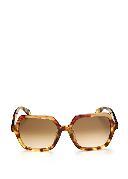 Havana Orange Women's Sunglasses