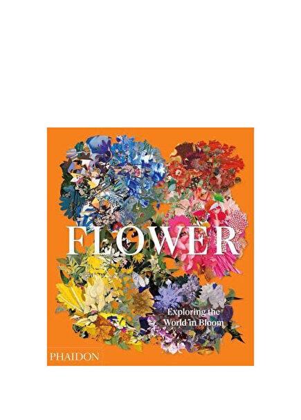 Flower Exploring the World in Bloom Yabancı Dil Kitabı 