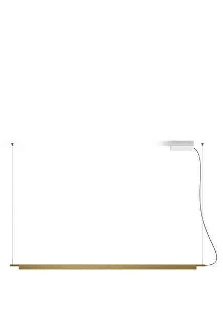 Compendium Gold Brass Led Pendant Chandelier