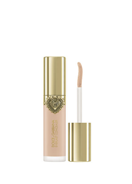 Everlast Concealer 04 - Light