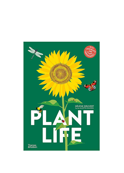 Plant Life Children's Foreign Language Book