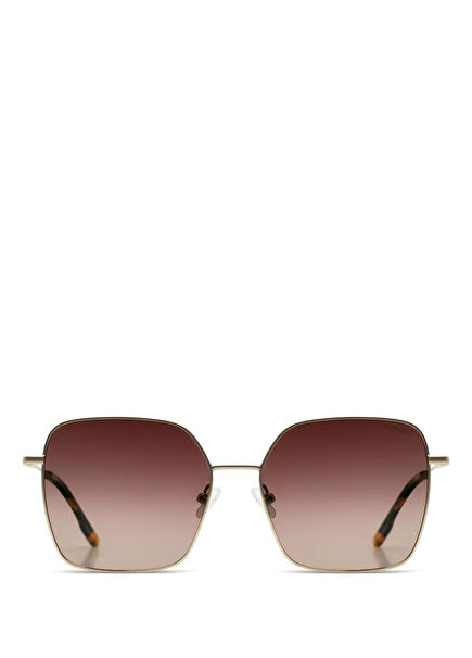 Audrey Gold Glossy Black Metal Kadın Güneş Gözlüğü