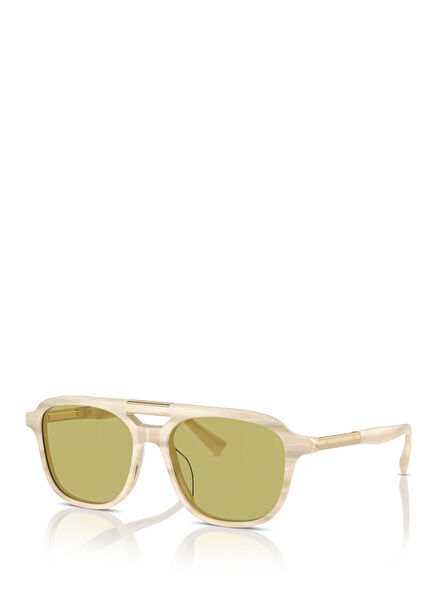 Brown Women's Sunglasses