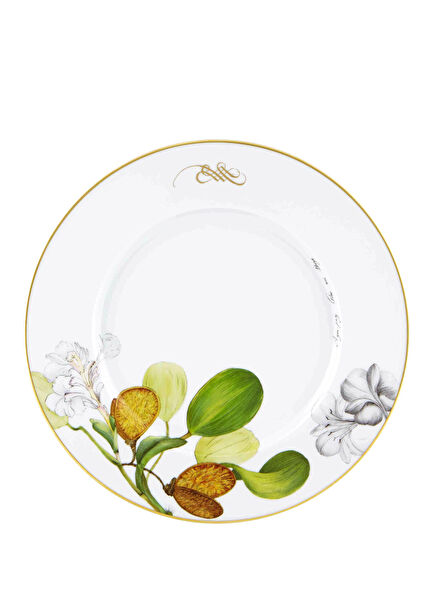Amozonia White Porcelain Dinner Plate
