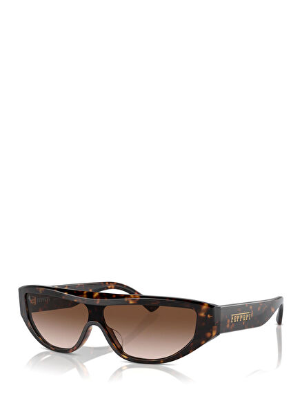 FH2004U Brown Unisex Sunglasses