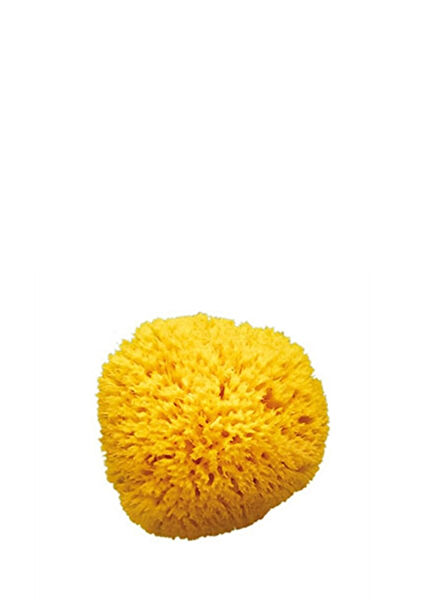 Natural Large Bath Sponge No:14