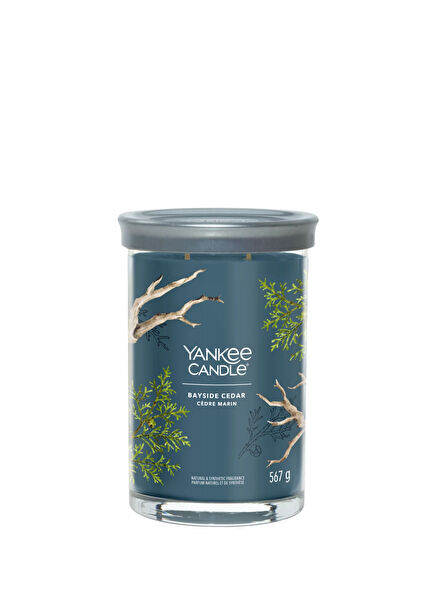 Bayside Cedar Blue Large Candle