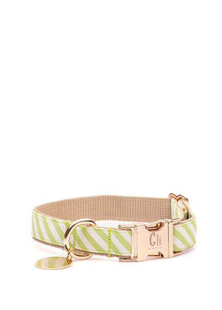 Green Dog Neck Collar