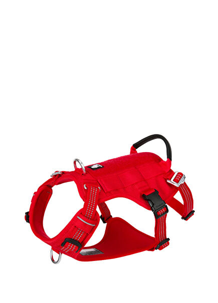 Tactical Red Dog Chest Collar