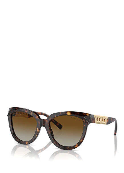 Turtle Patterned Women's Sunglasses