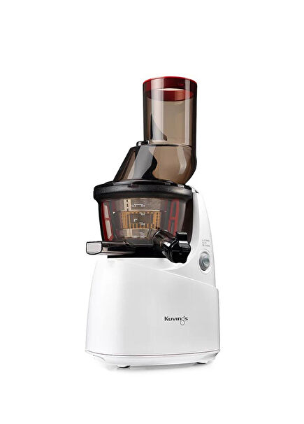B6000W Slow Juicer Fruit Vegetable Juicer