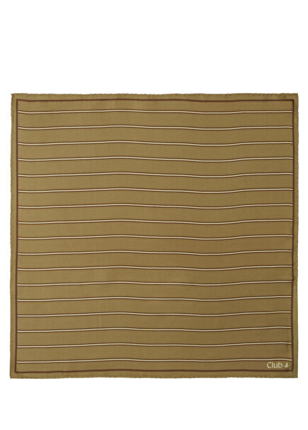 Khaki Pinstripe Silk Scarf