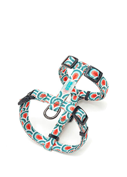 Fish Scale Spider Model Ispet Açık Mavi Köpek Göğüs Tasması