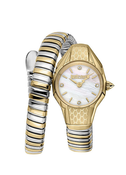 JC1L375M0055 Gold Metallic Grey Steel Women's Wristwatch