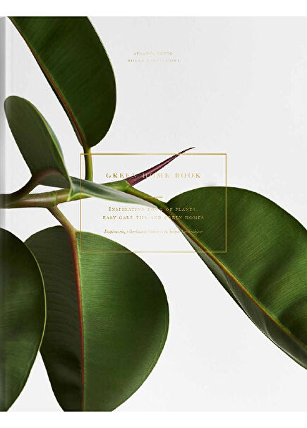 Green Home Book