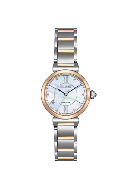 EM1074-82D  Çelik Unisex Kol Saati