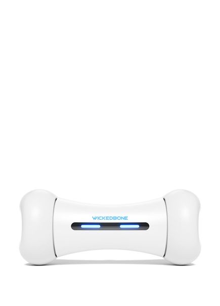 Smart Bone Interactive Toy for Dog and Cat