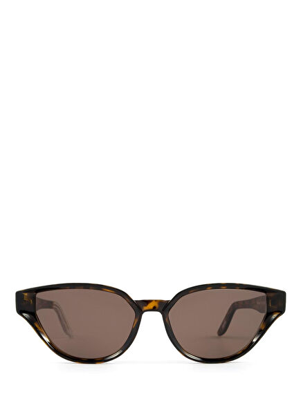 Sfitinzia Brown Acetate Sunglasses